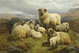 Unknown Sheep in the Highlands painting